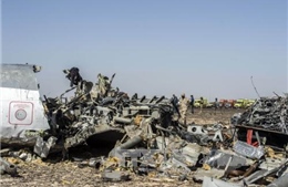 Đức cho rằng máy bay Nga bị IS đánh bom